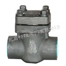锻钢止回阀H11Y-3000psi