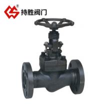 GL150-600锻钢法兰截止阀