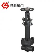 CL150/800锻钢低温闸阀