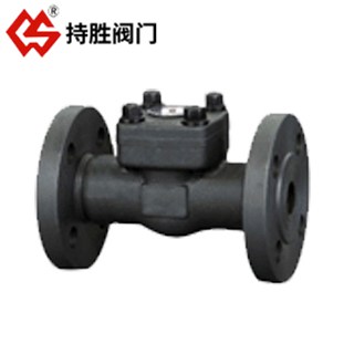 锻钢法兰止回阀