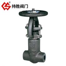 锻造压力密封闸阀