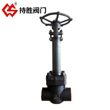 锻造低温闸阀