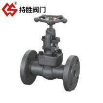锻钢法兰端截止阀